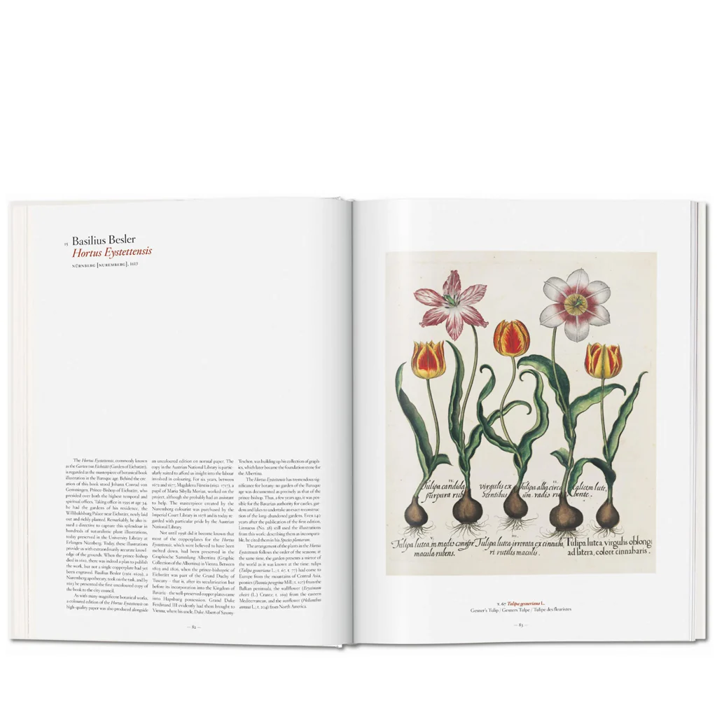 A Garden Eden - Masterpieces of Botanical Illustration - Image 4