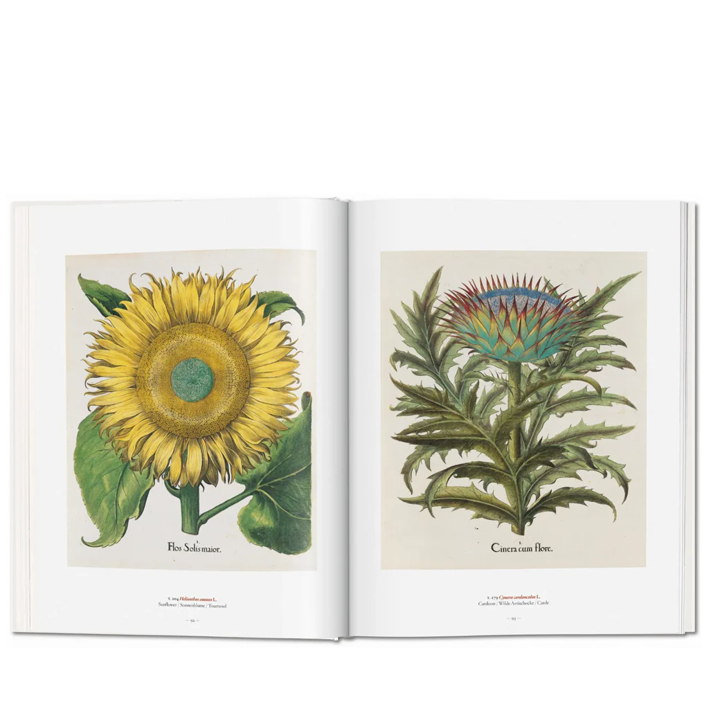 A Garden Eden - Masterpieces of Botanical Illustration - Image 5