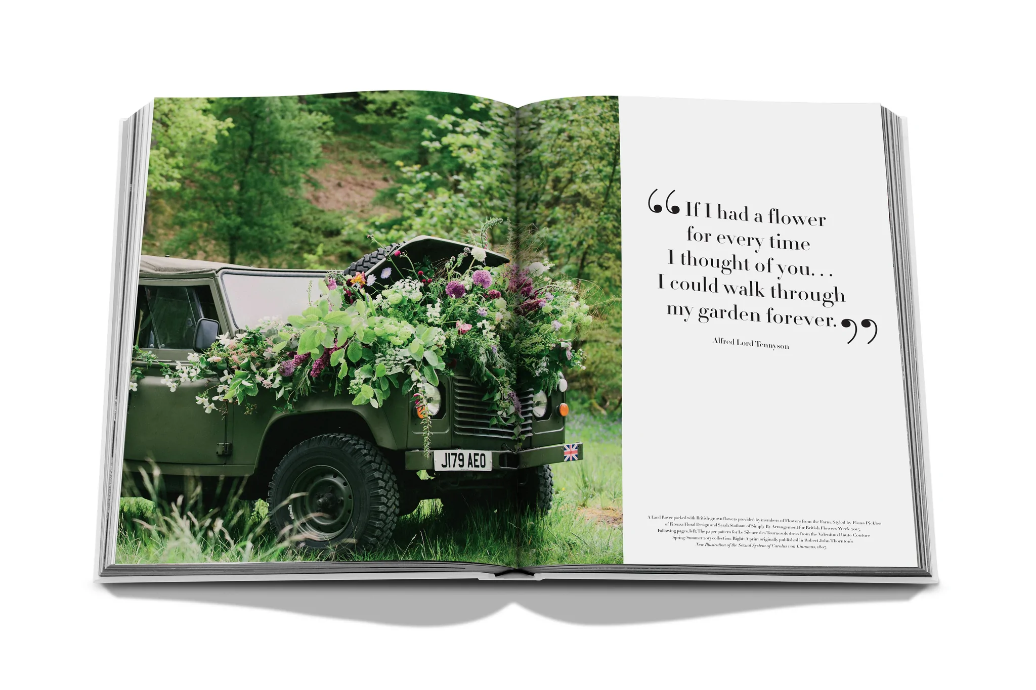 Flowers: Art & Bouquets - Image 7