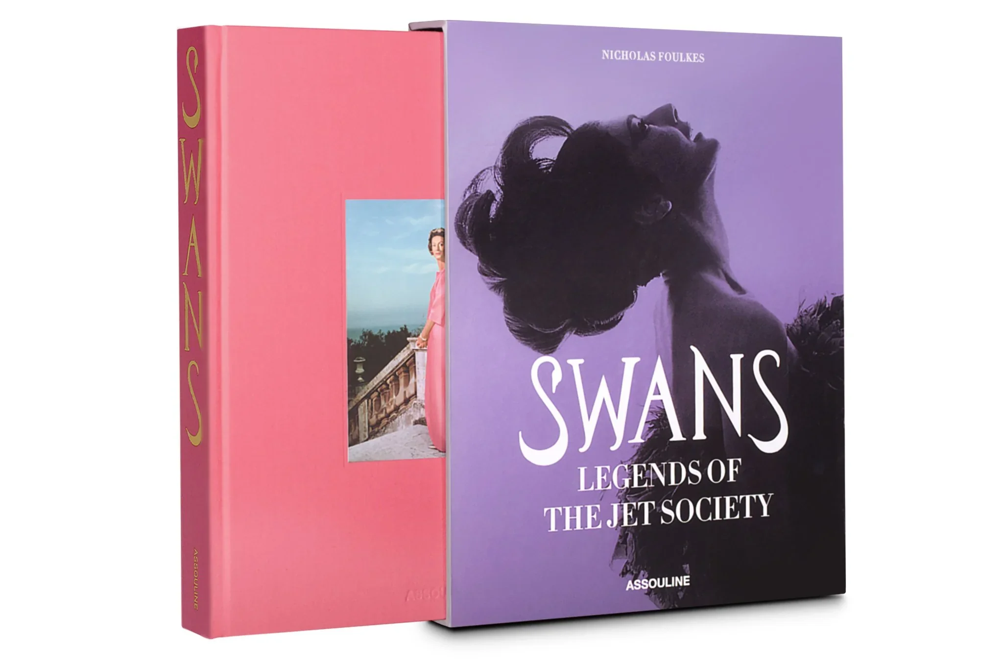 Swans: Legends of Jet Society - Image 4