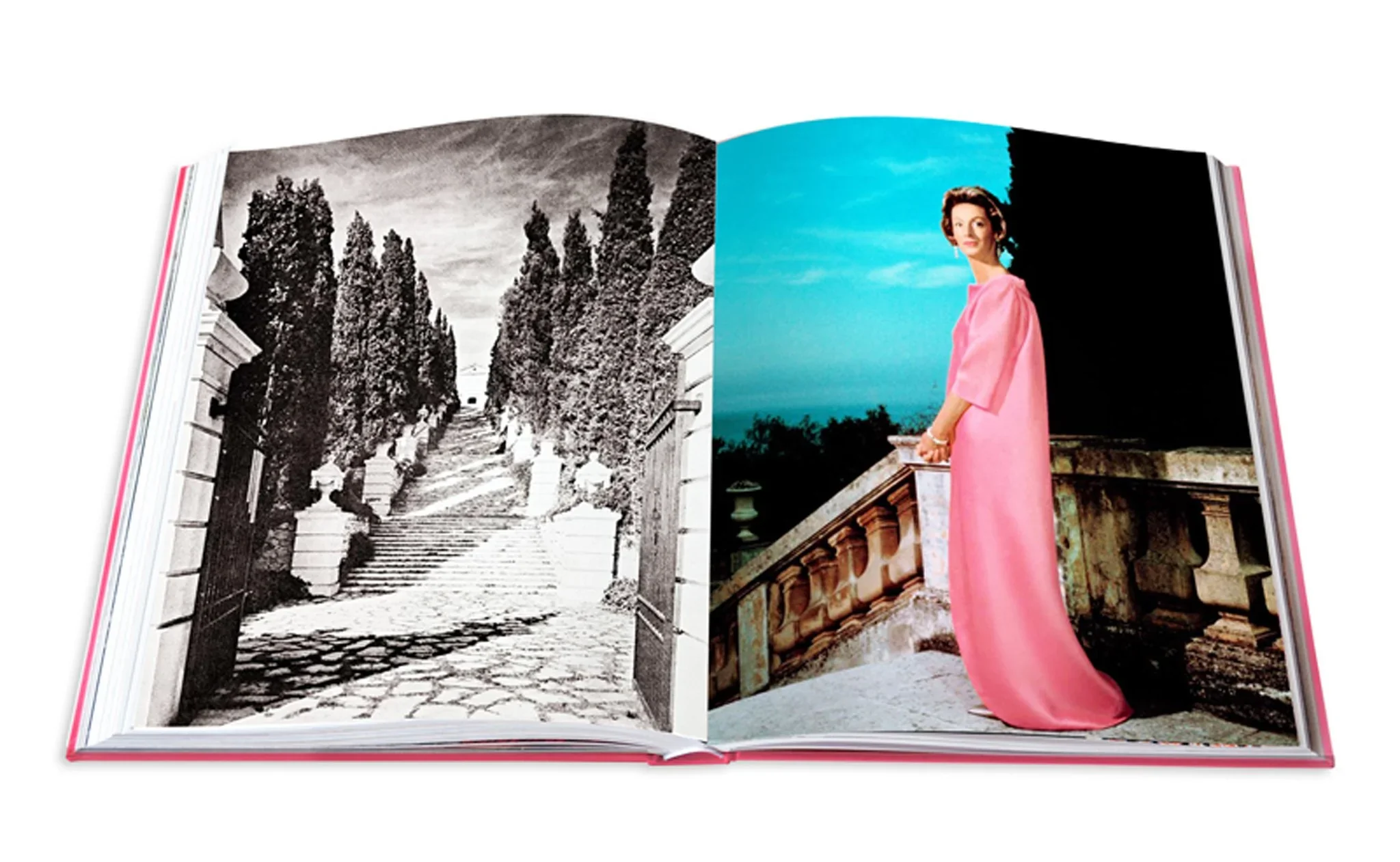 Swans: Legends of Jet Society - Image 8