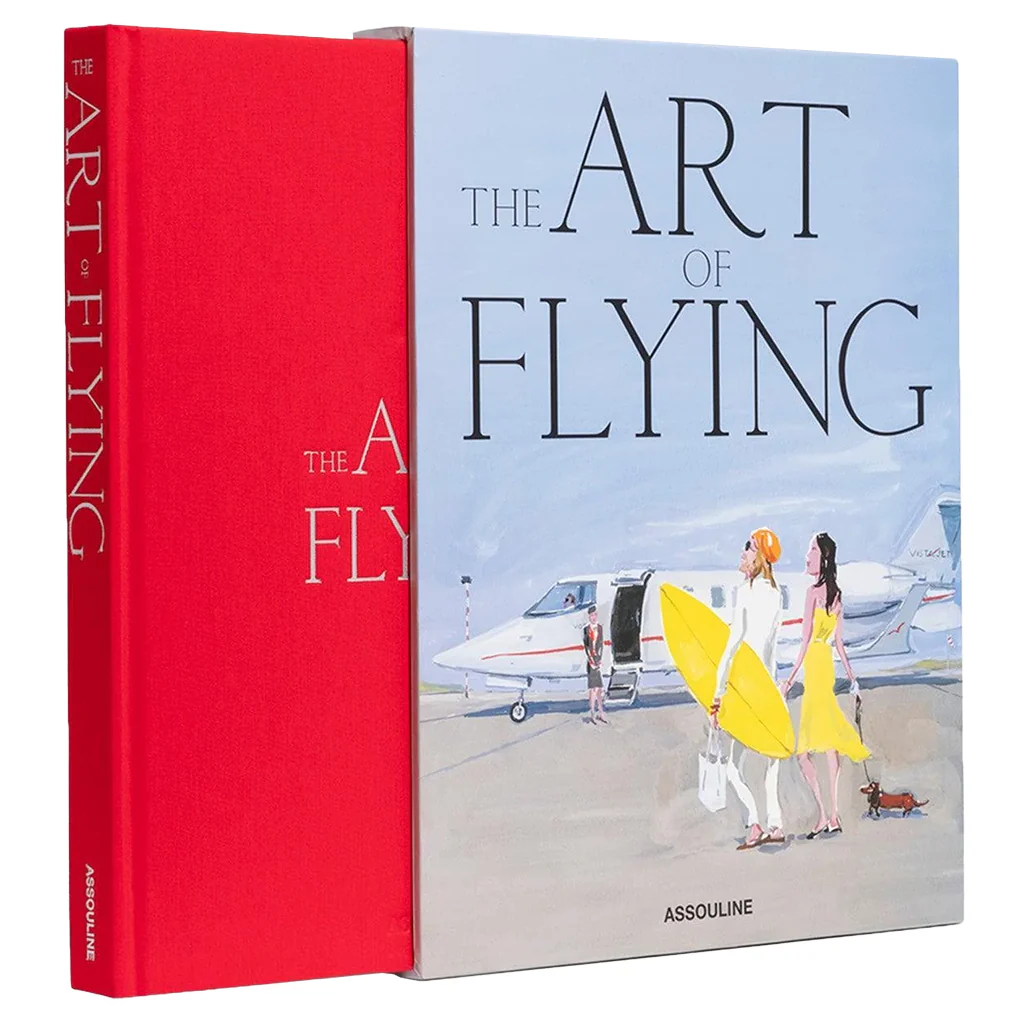 The Art of Flying - Image 4