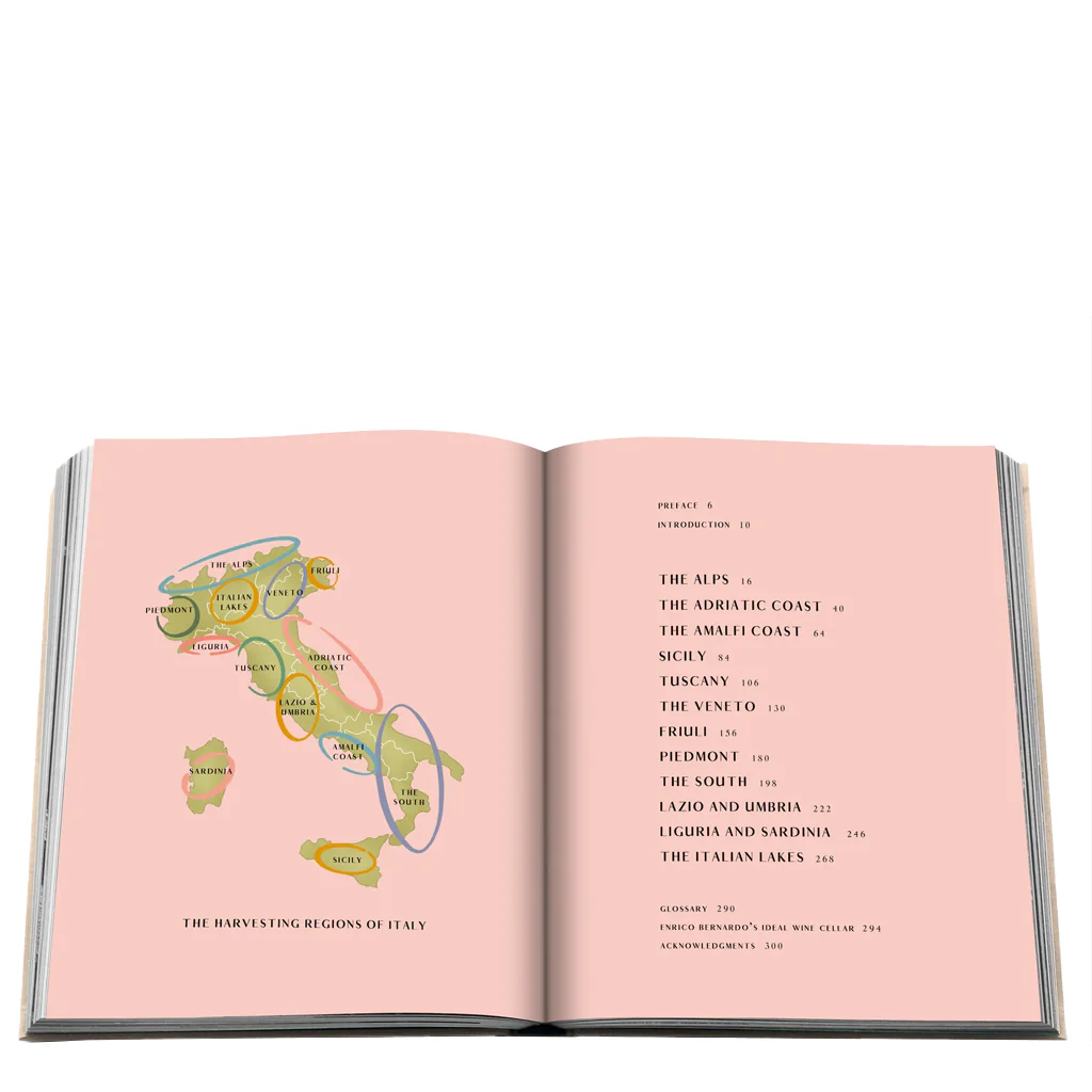 Wine and Travel - Italy - Image 6